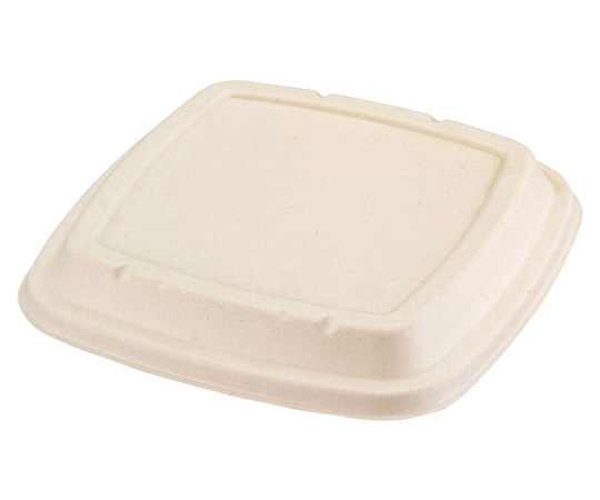 パックスタイル BB竹バガス 弁当容器 N23-23F 共蓋 蓋 クラフト色 50枚×6パック入 653869 1ケース(ご注文単位1ケース)【直送品】