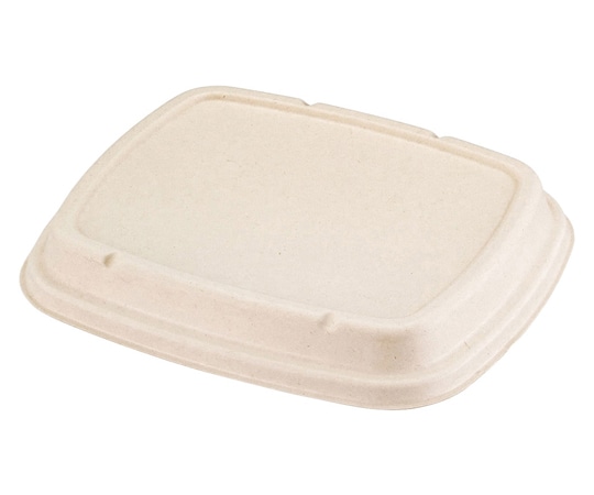 パックスタイル BB竹バガス 弁当容器 N24-20F 共蓋 蓋 クラフト色 50枚×6パック入 653871 1ケース(ご注文単位1ケース)【直送品】