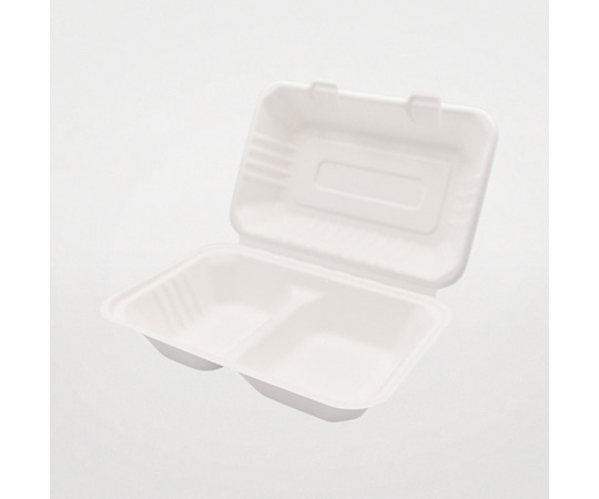 パックスタイル 弁当容器 ABランチ240-150-2 50枚×5パック入 00684429 1ケース(ご注文単位1ケース)【直送品】