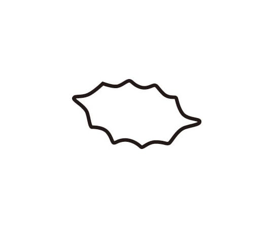 たかもり 生抜 柊 小 #1 078134 1個（ご注文単位1個）【直送品】