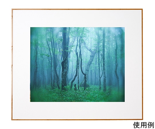 ケンコー・トキナー アルミ額縁 ギャラリー 全紙 ナチュラル(木目調) ACY-Z-NA 1箱(ご注文単位1箱)【直送品】