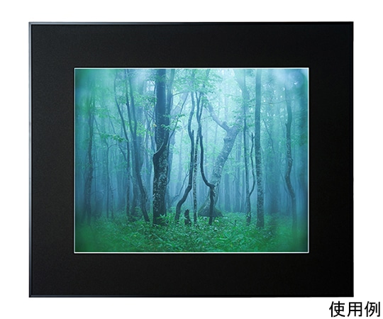 ケンコー・トキナー アルミ額縁 ギャラリー 全紙 ブラック ACY-Z-BK 1箱(ご注文単位1箱)【直送品】