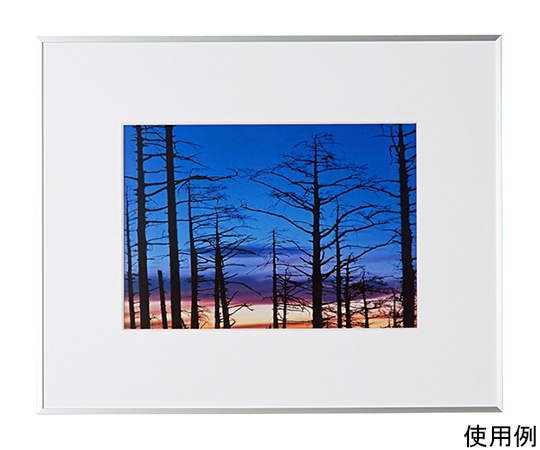 ケンコー・トキナー アルミ額縁 ギャラリー A4 シルバー ACY-A4-SV 1箱(ご注文単位1箱)【直送品】