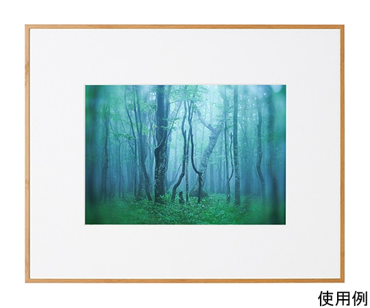 ケンコー・トキナー アルミ額縁 ギャラリー A4 ナチュラル(木目調) ACY-A4-NA 1箱(ご注文単位1箱)【直送品】