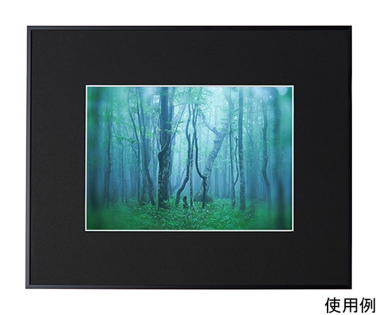 ケンコー・トキナー アルミ額縁 ギャラリー A4 ブラック ACY-A4-BK 1箱(ご注文単位1箱)【直送品】