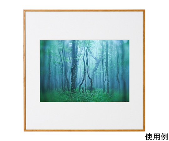 ケンコー・トキナー アルミ額縁 ギャラリー A4 スクエア ナチュラル(木目調) ACY-A4SQ-NA 1箱(ご注文単位1箱)【直送品】