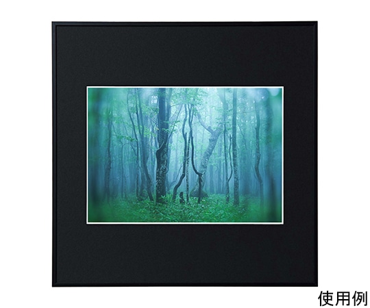 ケンコー・トキナー アルミ額縁 ギャラリー A4 スクエア ブラック ACY-A4SQ-BK 1箱(ご注文単位1箱)【直送品】