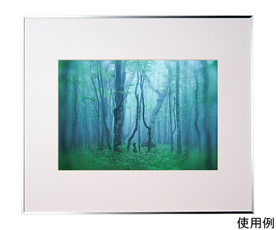 ケンコー・トキナー アルミ額縁 ギャラリー A3 シルバー ACY-A3-SV 1箱(ご注文単位1箱)【直送品】