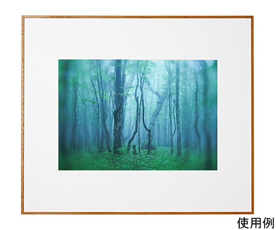 ケンコー・トキナー アルミ額縁 ギャラリー A3 ナチュラル(木目調) ACY-A3-NA 1箱(ご注文単位1箱)【直送品】