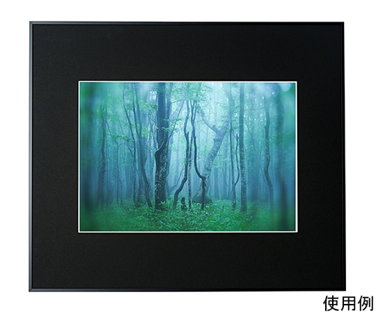 ケンコー・トキナー アルミ額縁 ギャラリー A3 ブラック ACY-A3-BK 1箱(ご注文単位1箱)【直送品】