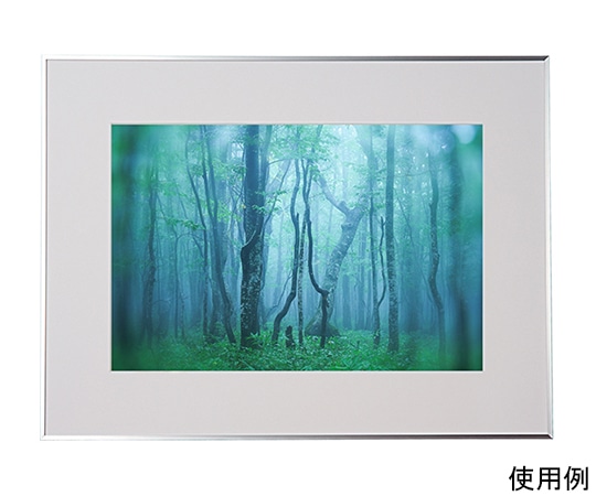 ケンコー・トキナー アルミ額縁 ギャラリー A3ノビ シルバー ACY-A3N-SV 1箱(ご注文単位1箱)【直送品】