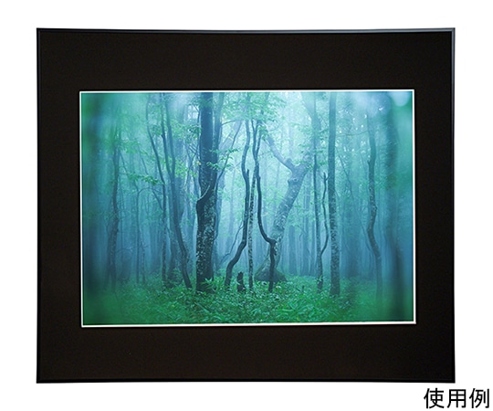 ケンコー・トキナー アルミ額縁 ギャラリー A2 ブラック ACY-A2-BK 1箱(ご注文単位1箱)【直送品】