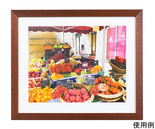 ケンコー・トキナー 木製額縁 NEWガーデン 六切 ブラウン MNGA-6-BR 1箱(ご注文単位1箱)【直送品】