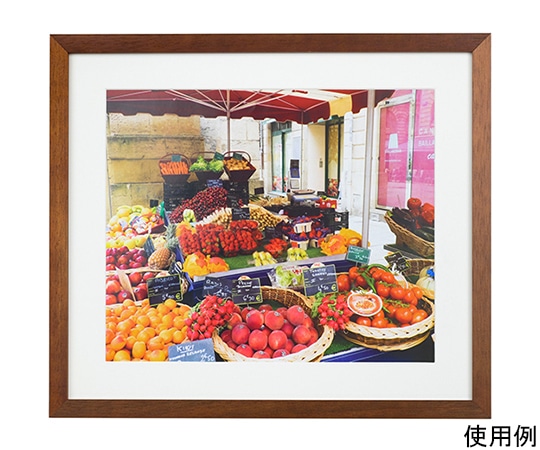 ケンコー・トキナー 木製額縁 NEWガーデン 四切 ブラウン MNGA-4-BR 1箱(ご注文単位1箱)【直送品】