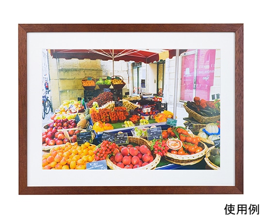 ケンコー・トキナー 木製額縁 NEWガーデン ワイド四切 ブラウン MNGA-W4-BR 1箱(ご注文単位1箱)【直送品】