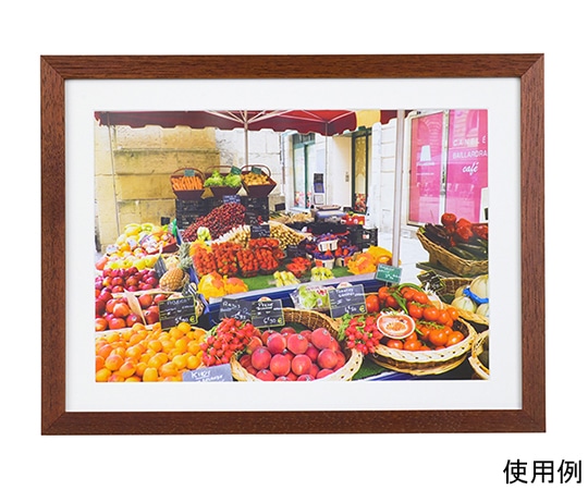 ケンコー・トキナー 木製額縁 NEWガーデン A4 ブラウン MNGA-A4-BR 1箱(ご注文単位1箱)【直送品】