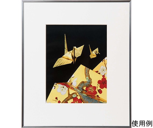 ケンコー・トキナー アルミ額縁 画廊 六切 ガラス入り シルバー AGR-6-SV 1箱(ご注文単位1箱)【直送品】