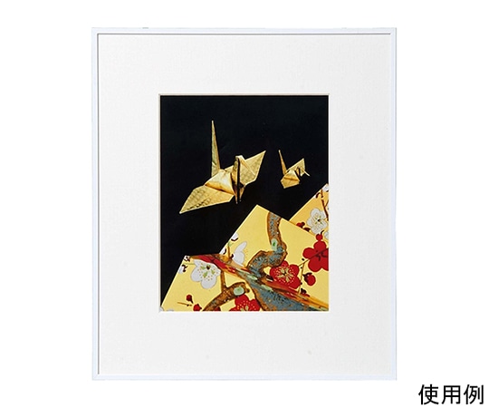 ケンコー・トキナー アルミ額縁 画廊 四切 ガラス入り ホワイト AGR-4-WH 1箱(ご注文単位1箱)【直送品】