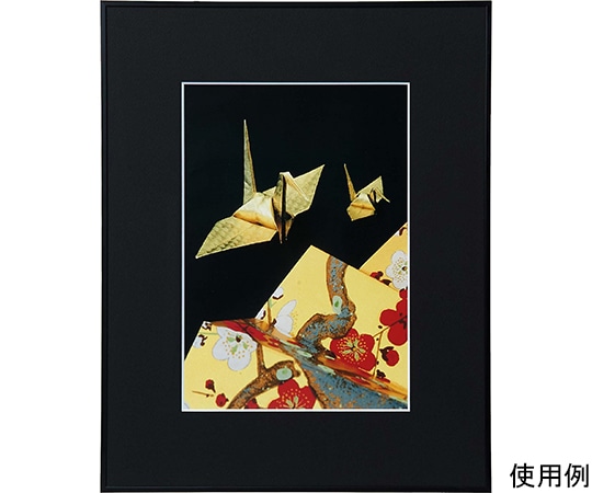 ケンコー・トキナー アルミ額縁 画廊 ワイド四切 ガラス入り ブラック AGR-W4-BK 1箱(ご注文単位1箱)【直送品】