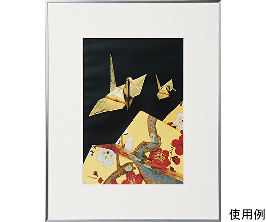 ケンコー・トキナー アルミ額縁 画廊 ワイド四切 ガラス入り シルバー AGR-W4-SV 1箱(ご注文単位1箱)【直送品】