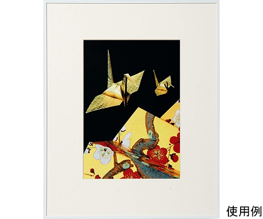 ケンコー・トキナー アルミ額縁 画廊 A4 ガラス入り ホワイト AGR-A4-WH 1箱(ご注文単位1箱)【直送品】