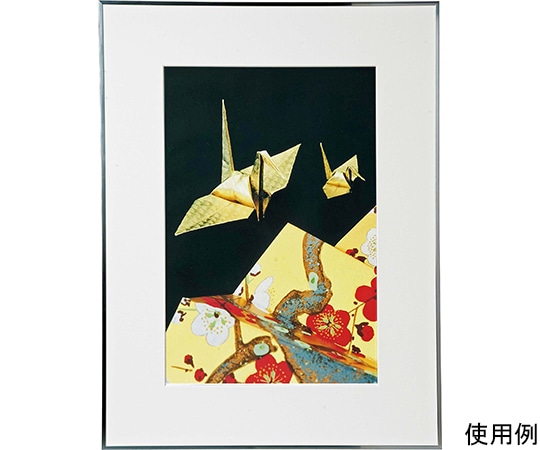 ケンコー・トキナー アルミ額縁 画廊 A3ノビ ガラス入り シルバー AGR-A3N-SV 1箱(ご注文単位1箱)【直送品】