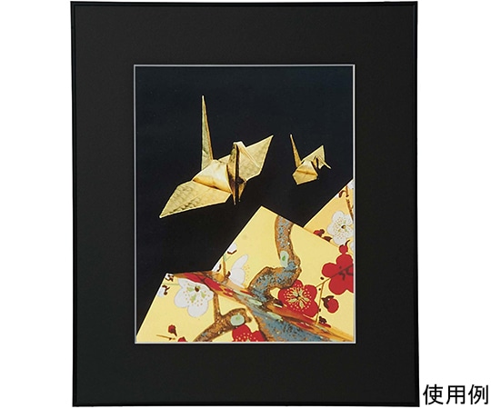 ケンコー・トキナー アルミ額縁 画廊 半切 アクリル入り ブラック AGR-H-BK-AC 1箱(ご注文単位1箱)【直送品】