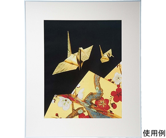 ケンコー・トキナー アルミ額縁 画廊 全紙 アクリル入り ホワイト AGR-Z-WH-AC 1箱(ご注文単位1箱)【直送品】