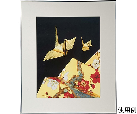 ケンコー・トキナー アルミ額縁 画廊 全紙 アクリル入り シルバー AGR-Z-SV-AC 1箱(ご注文単位1箱)【直送品】