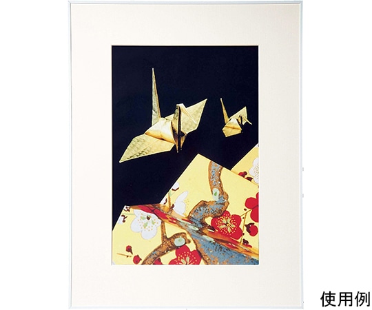 ケンコー・トキナー アルミ額縁 画廊 A3ノビ アクリル入り ホワイト AGR-A3N-WH-AC 1箱(ご注文単位1箱)【直送品】