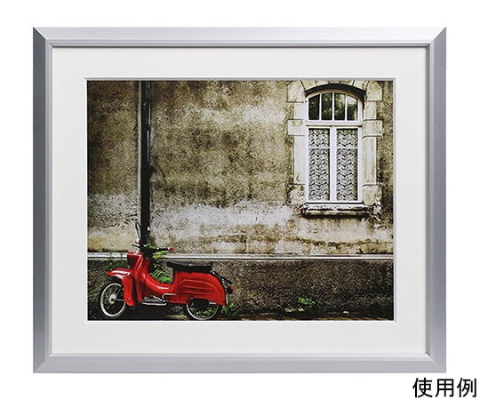 ケンコー・トキナー アルミ額縁 アタンド 六切 シルバー/ホワイト AAT-6-SW 1箱(ご注文単位1箱)【直送品】