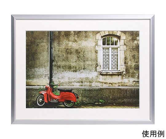 ケンコー・トキナー アルミ額縁 アタンド ワイド四切 シルバー/ホワイト AAT-W4-SW 1箱(ご注文単位1箱)【直送品】