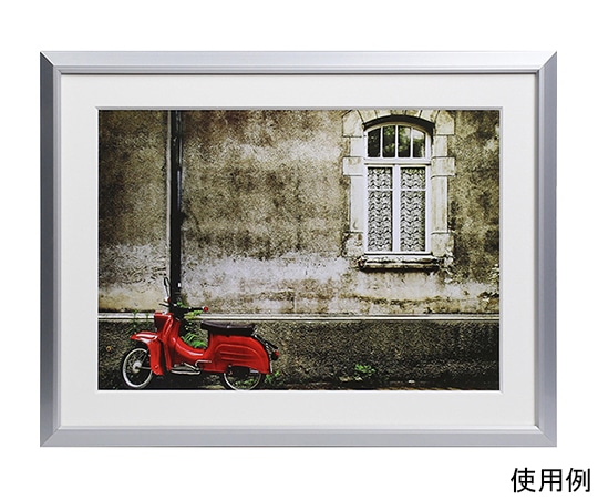 ケンコー・トキナー アルミ額縁 アタンド A4 シルバー/ホワイト AAT-A4-SW 1箱(ご注文単位1箱)【直送品】