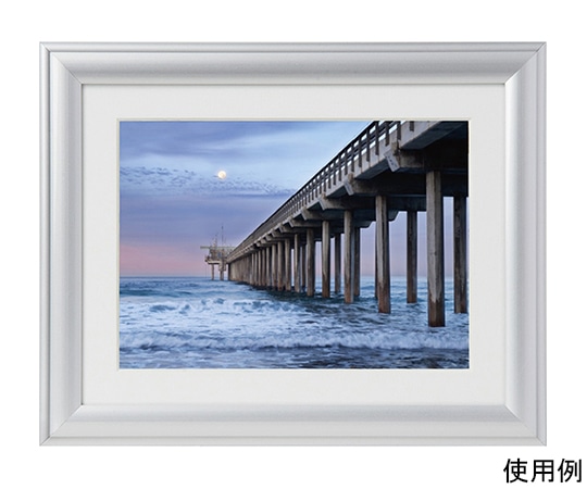 ケンコー・トキナー アルミ額縁 ルックマイルド 2L シルバー ALM-2L-SV 1箱(ご注文単位1箱)【直送品】