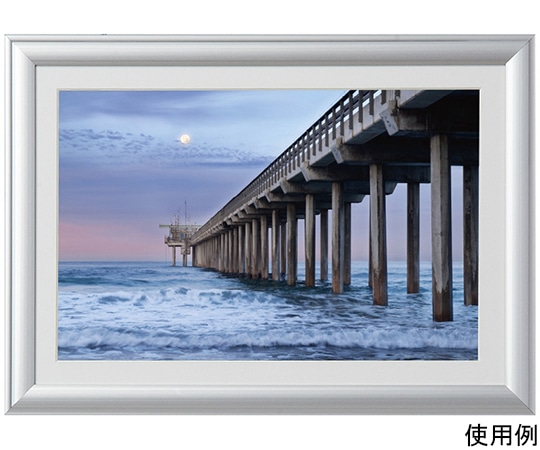 ケンコー・トキナー アルミ額縁 ルックマイルド ワイド六切 シルバー ALM-W6-SV 1箱(ご注文単位1箱)【直送品】