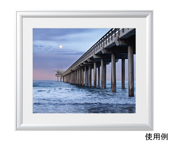 ケンコー・トキナー アルミ額縁 ルックマイルド 四切 シルバー ALM-4-SV 1箱(ご注文単位1箱)【直送品】