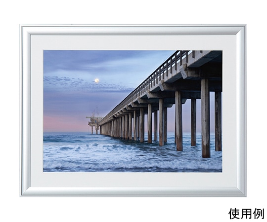 ケンコー・トキナー アルミ額縁 ルックマイルド ワイド四切 シルバー ALM-W4-SV 1箱(ご注文単位1箱)【直送品】