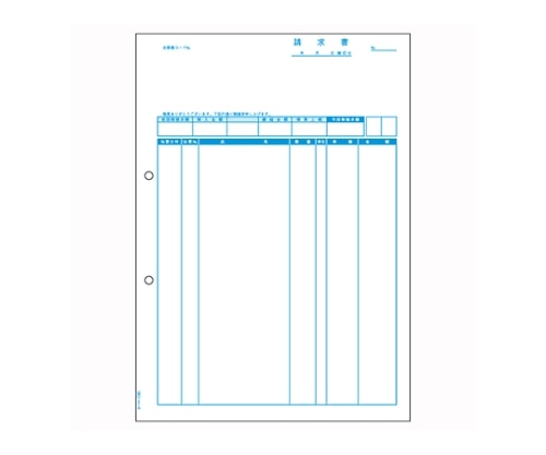 ヒサゴ コンピュータ用帳票 レーザープリンタ用 OP1160 1冊(ご注文単位1冊)【直送品】