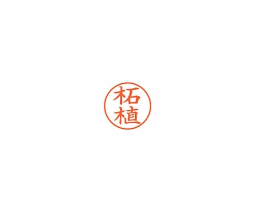 シヤチハタ ネーム9 (ネーム印) 柘植(インク色:朱) XL901475 1個(ご注文単位1個)【直送品】