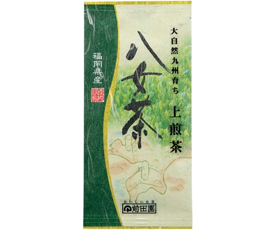 前田園 大自然九州育ち 八女上煎茶 100g 05712 1パック※軽（ご注文単位1パック）【直送品】