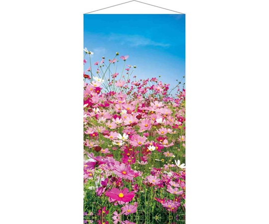 アズワン 秋タペストリー コスモス 90×180cm(防炎加工) 37-35-1-1 1個（ご注文単位1個）【直送品】