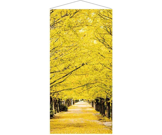 アズワン 秋タペストリー いちょう並木 90×180cm 37-35-2-1 1個（ご注文単位1個）【直送品】