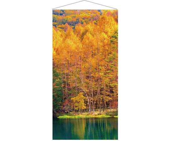 アズワン 秋タペストリー 黄葉 90×180cm 37-35-3-1 1個（ご注文単位1個）【直送品】