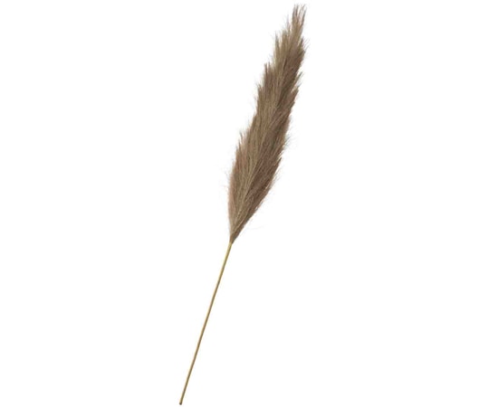 アズワン パンパスフェザーグラス造花 105cm グレー 37-47-5-3 1個（ご注文単位1個）【直送品】