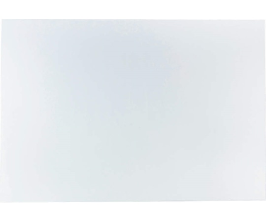 ライオン事務器 ソフトカードケース(軟質タイプ) 軟質塩ビ製 B2判 B2 1枚(ご注文単位1枚)【直送品】