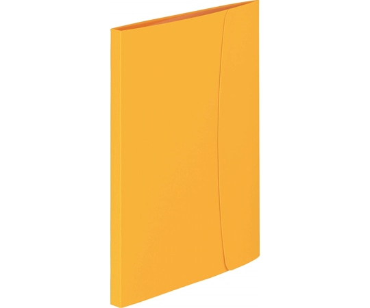 ライオン事務器 ホルダー用ブック〈ビジカル〉 A4判S型 12ポケット イエロー(Y) BiZiCAL HB-323B Y 1冊(ご注文単位1冊)【直送品】
