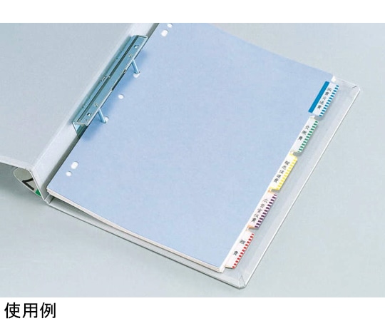 ライオン事務器 見出しラベル LC-42 1冊(ご注文単位1冊)【直送品】