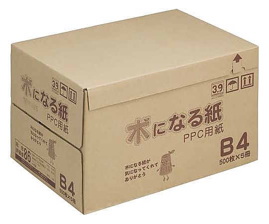 ファイル コピー用紙 木になる紙B4 1箱(500枚×5冊) キーB4 1箱(ご注文単位1箱)【直送品】