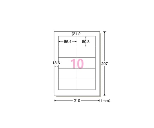 エーワン(A-ONE) プリンタ用ラベル 10面 四辺余白付 1箱(500シート入) L10AM500N 1箱(ご注文単位1箱)【直送品】