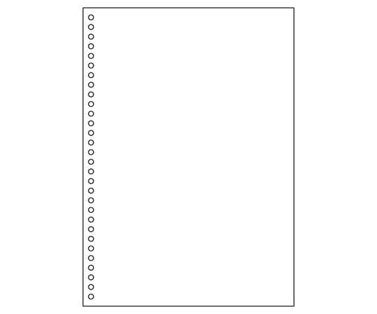 ヒサゴ マルチプリンタ帳票 A4 白紙 30穴 1セット(1200枚入) BP2049Z 1セット(ご注文単位1セット)【直送品】